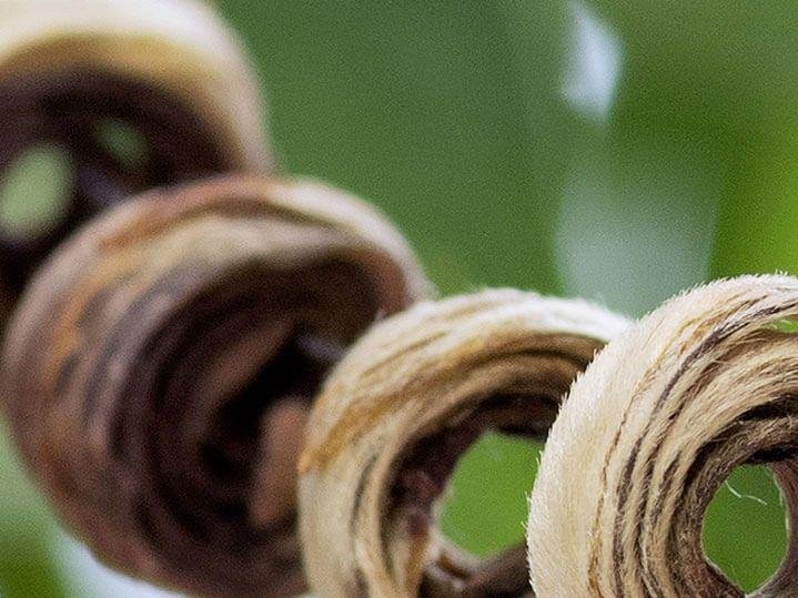 Nu Er Huan (Daughter’s Ring) Jasmine Green Tea - Image 6