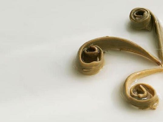 Nu Er Huan (Daughter’s Ring) Jasmine Green Tea - Image 3