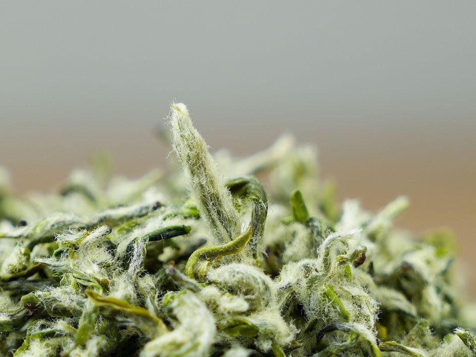 Handmade Ming Qian Dong Ting West Mountain Bi Luo Chun Green Tea