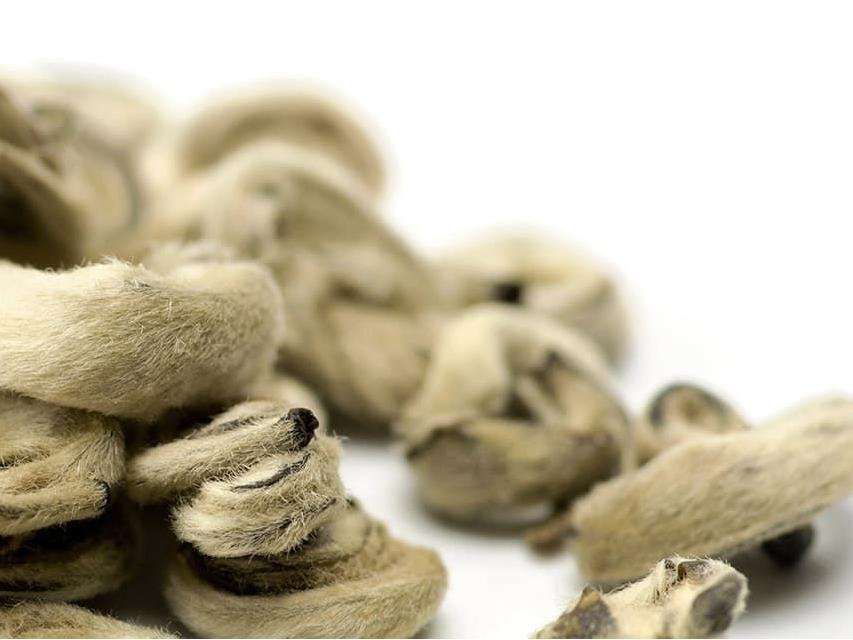 Snail (Yu Luo) Jasmine Green Tea - Image 4