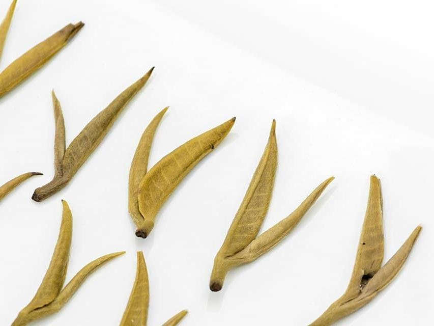 Snail (Yu Luo) Jasmine Green Tea - Image 3