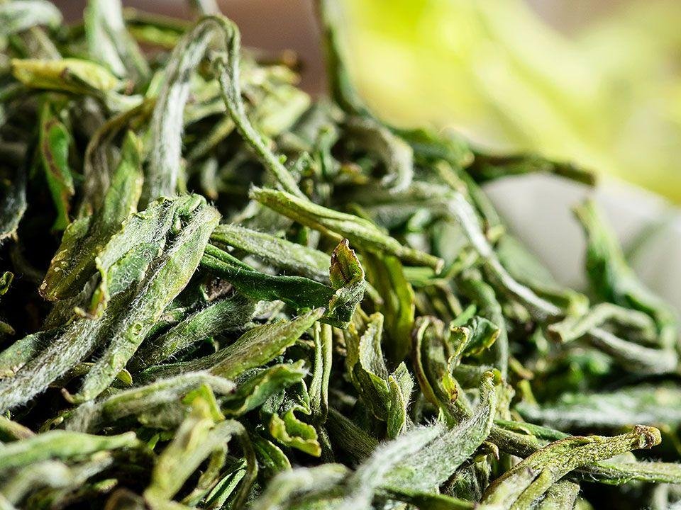 Nonpareil Te Gong Huang Shan Mao Feng Green Tea - Image 5