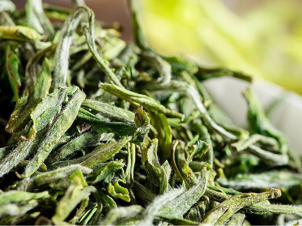 Nonpareil Te Gong Huang Shan Mao Feng Green Tea - Image 4