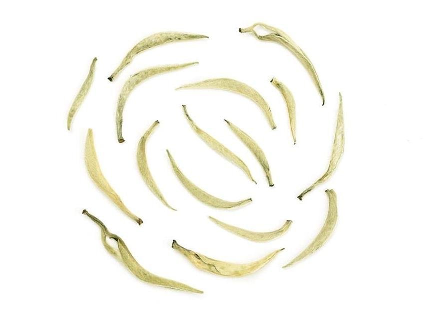 Moonlight Beauty Raw Pu-erh Loose Tea - Image 5