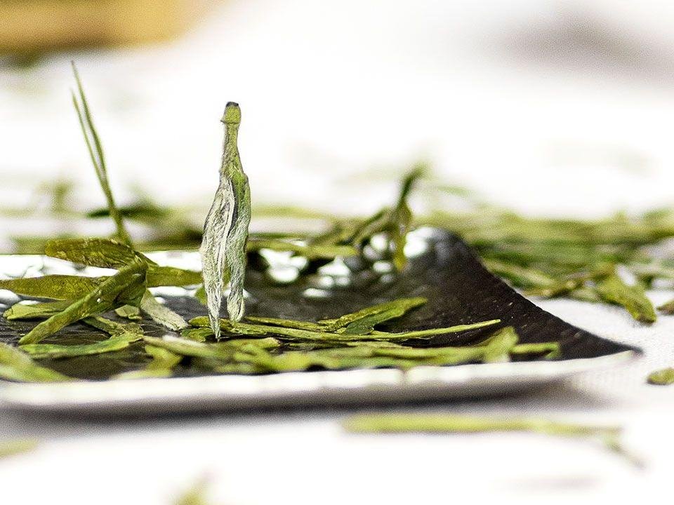 Award Winning Organic Superfine Dragon Well Long Jing Green Tea - Image 4