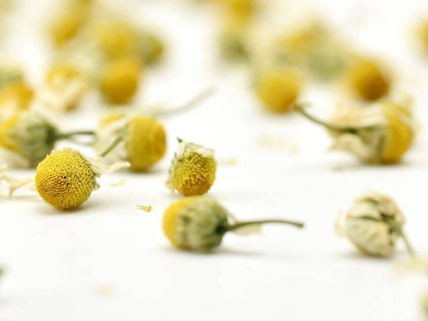 Chamomile Herbal Tea - Image 3